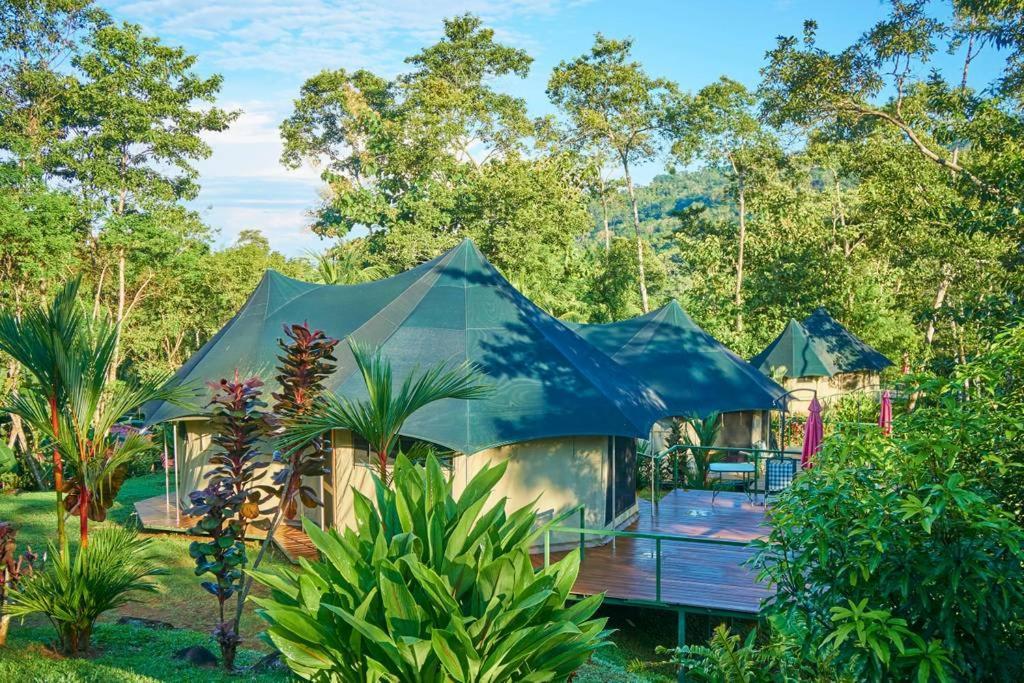 Bed and Breakfast Manoas Увита Экстерьер фото