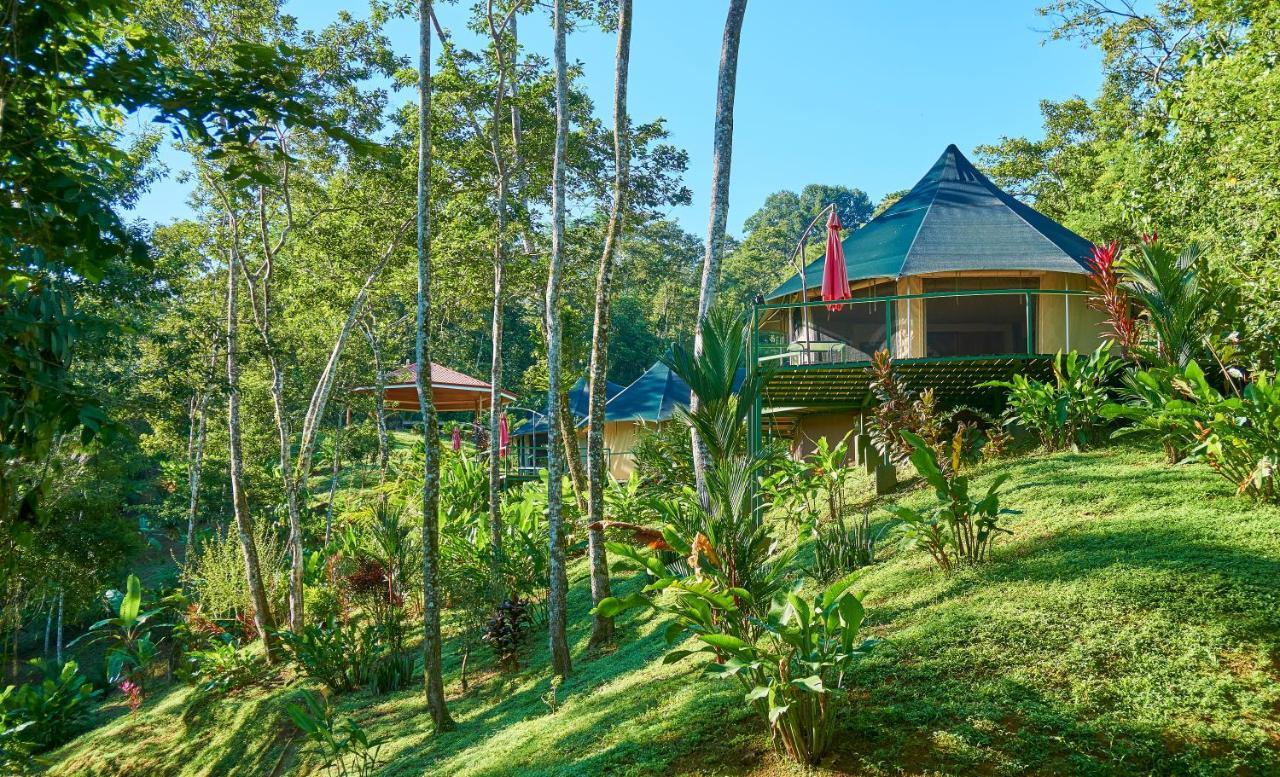 Bed and Breakfast Manoas Увита Экстерьер фото